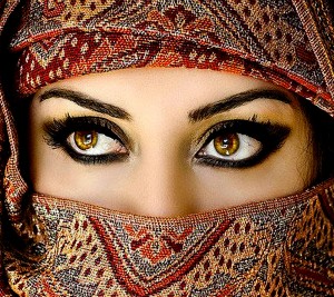 chitra