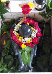 shankar-ji